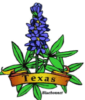 Bluebonnet