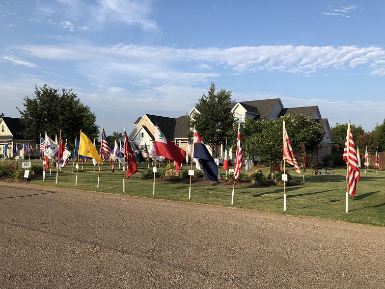 PS Flag Display